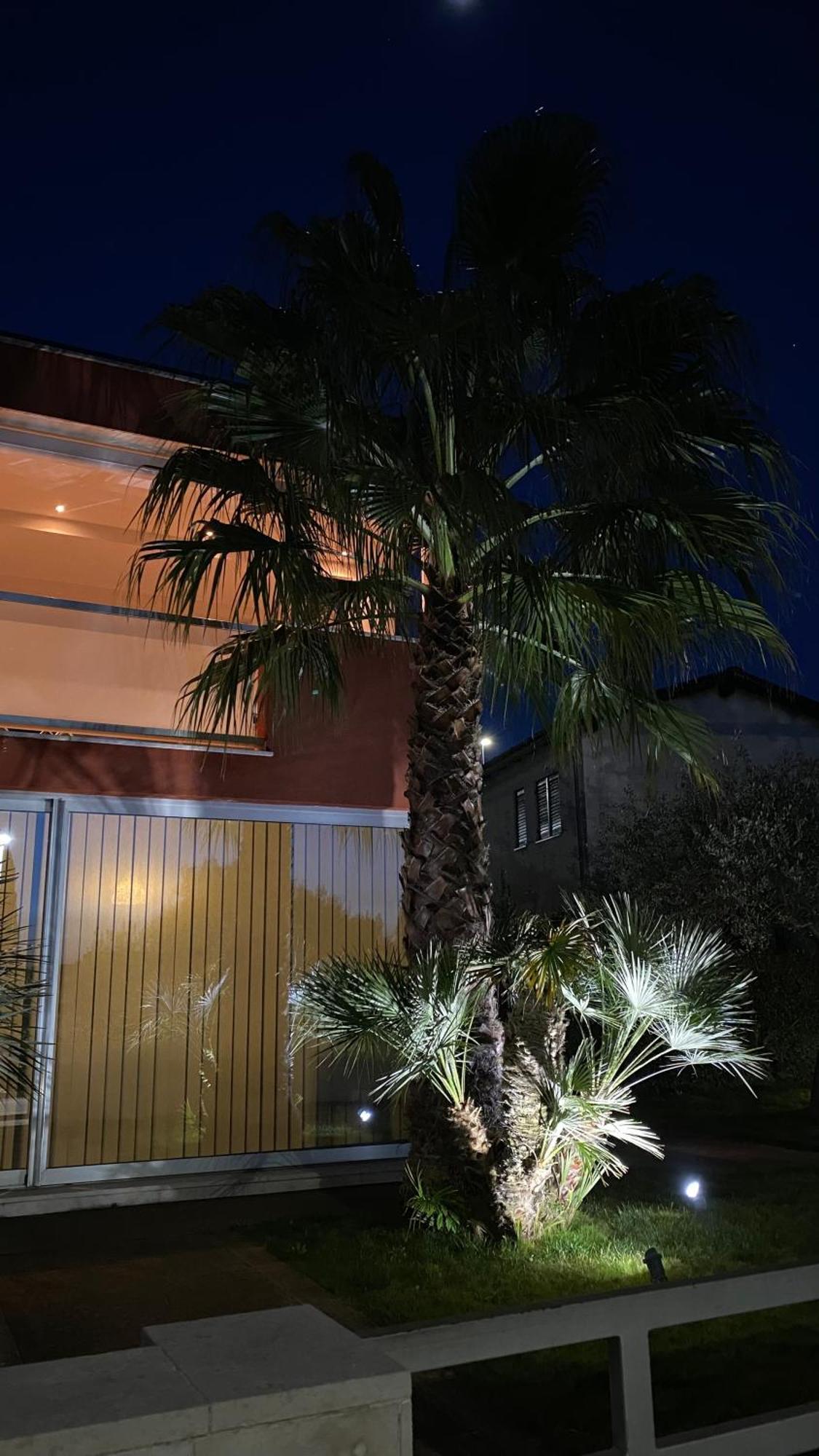 Ivni Apartmani Novigrad  Ngoại thất bức ảnh